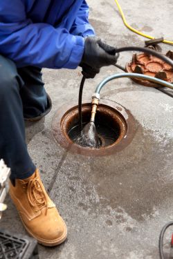 Sewer Line Camera Inspections in West Slope, Oregon by Pink Flamingo Plumbing