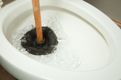 Toilet repair by Pink Flamingo Plumbing